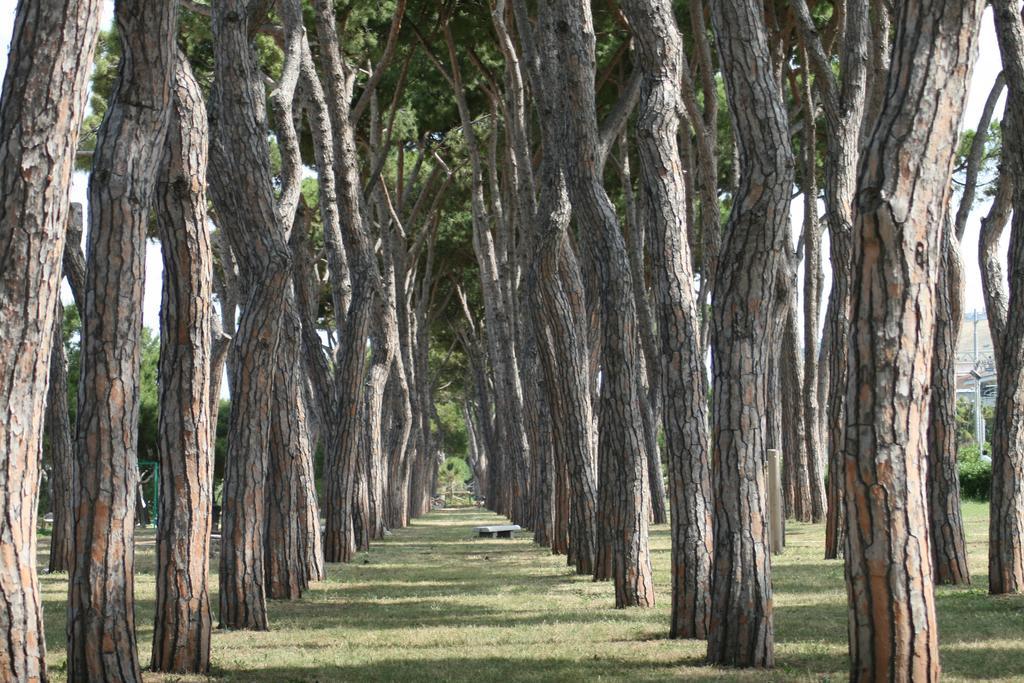 Hotel Bianchi เวียเรจโจ ภายนอก รูปภาพ